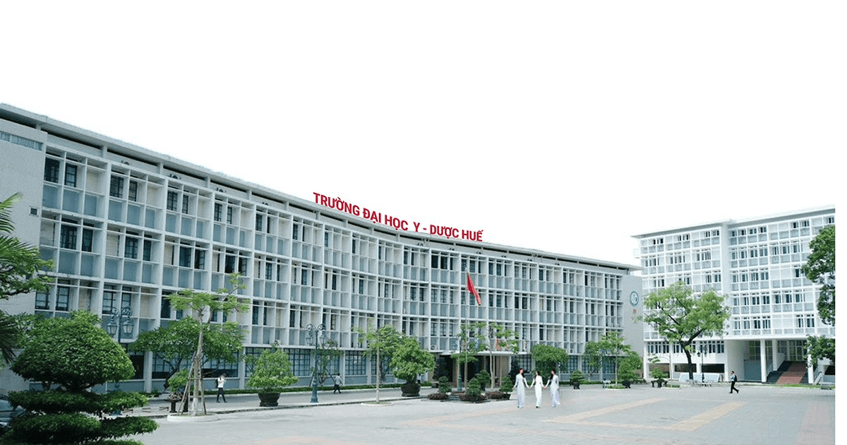 Đại học Y dược - Đại học Huế (năm 2024)