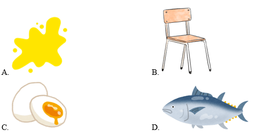 Trắc nghiệm Tiếng Anh lớp 1 Family and Friends Unit 2 Phonetics and Vocabulary (có đáp án)