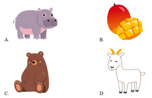 Trắc nghiệm Tiếng Anh lớp 1 Family and Friends Unit 4 Phonetics and Vocabulary (có đáp án)