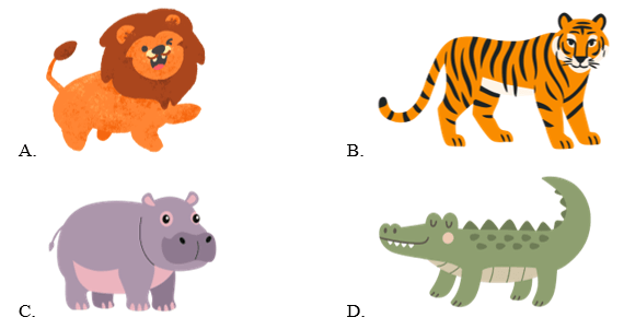 Trắc nghiệm Tiếng Anh lớp 1 Family and Friends Unit 4 Phonetics and Vocabulary (có đáp án)