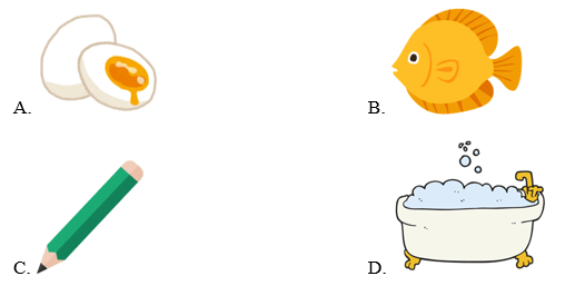 Trắc nghiệm Tiếng Anh lớp 1 Family and Friends Unit 5 Phonetics and Vocabulary (có đáp án)