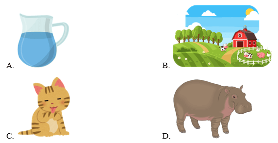 Trắc nghiệm Tiếng Anh lớp 1 Family and Friends Unit 5 Phonetics and Vocabulary (có đáp án)