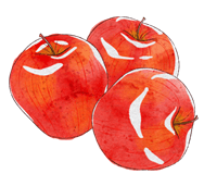 Trắc nghiệm Tiếng Anh lớp 1 Family and Friends Unit 5 Phonetics and Vocabulary (có đáp án)