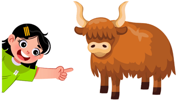 Trắc nghiệm Tiếng Anh lớp 1 Family and Friends Unit 6 Grammar (có đáp án)