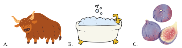 Trắc nghiệm Tiếng Anh lớp 1 Family and Friends Unit 6 Phonetics and Vocabulary (có đáp án)