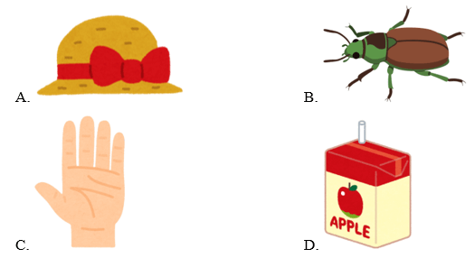 Trắc nghiệm Tiếng Anh lớp 1 Family and Friends Unit 6 Phonetics and Vocabulary (có đáp án)