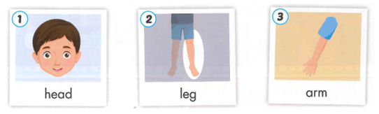 Tiếng Anh lớp 1 Smart Start Unit 4 Lesson 1 (trang 26, 27)