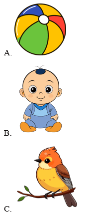 Trắc nghiệm Tiếng Anh lớp 1 Global Success Unit 1 Phonetics & Vocabulary (có đáp án)