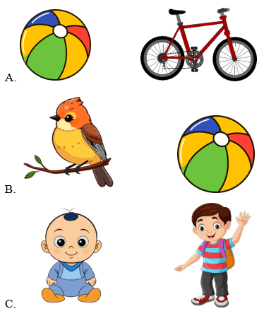 Trắc nghiệm Tiếng Anh lớp 1 Global Success Unit 1 Phonetics & Vocabulary (có đáp án)