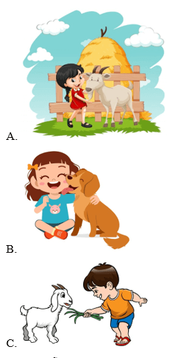 Trắc nghiệm Tiếng Anh lớp 1 Global Success Unit 7 Phonetics & Vocabulary (có đáp án)