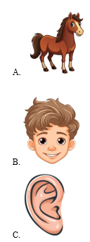 Trắc nghiệm Tiếng Anh lớp 1 Global Success Unit 8 Phonetics & Vocabulary (có đáp án)