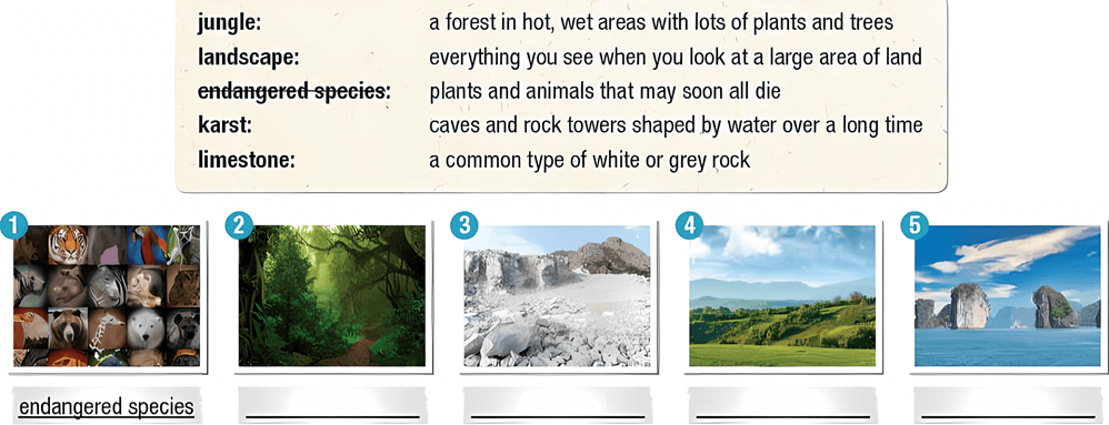 Tiếng Anh 11 Smart World Unit 6 Lesson 1 (trang 58, 59, 60, 61)