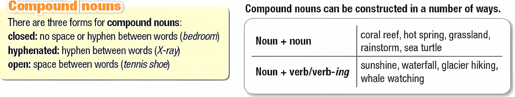 Tiếng Anh 11 Smart World Unit 7 Lesson 2 (trang 72, 73, 74, 75)