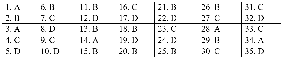 Top 30 Đề thi Tiếng Anh 11 Học kì 2 năm 2024 (có đáp án)