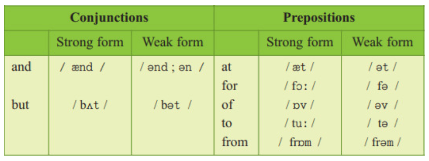 Soạn Unit 6 lớp 12: Language Focus | Tiếng Anh 12 và giải bài tập tiếng Anh lớp 12 | Để học tốt Tiếng Anh 12