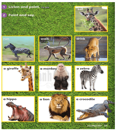 Tiếng Anh lớp 2 Unit 4: Animals | Cánh diều