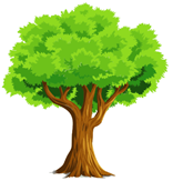 Trắc nghiệm Tiếng Anh lớp 2 Family and Friends Unit 5 Phonetics and Vocabulary (có đáp án)