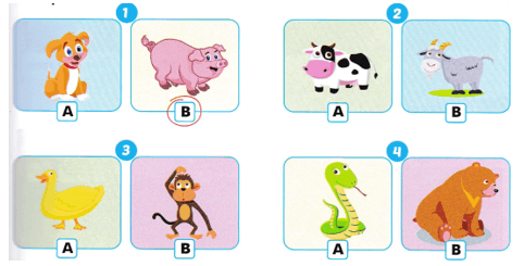 Tiếng Anh lớp 2 Smart Start Review 4 (trang 33)