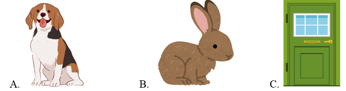 Trắc nghiệm Tiếng Anh lớp 2 Smart Start Unit 10 Phonetics and Vocabulary (có đáp án)