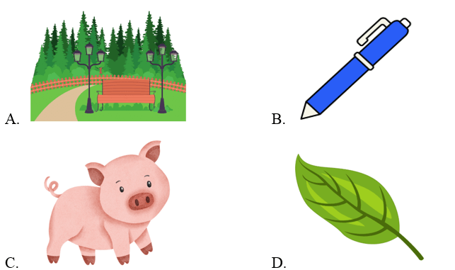 Trắc nghiệm Tiếng Anh lớp 2 Smart Start Unit 10 Phonetics and Vocabulary (có đáp án)