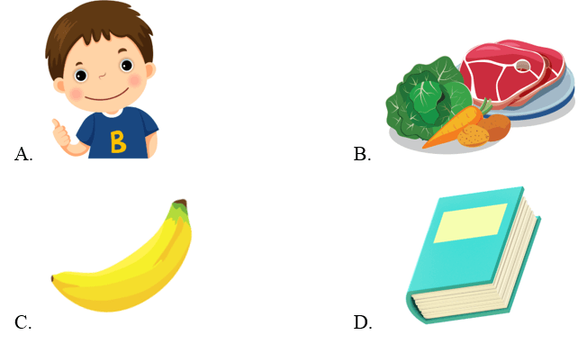 Trắc nghiệm Tiếng Anh lớp 2 Smart Start Unit 10 Phonetics and Vocabulary (có đáp án)