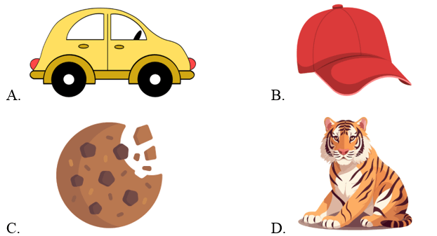 Trắc nghiệm Tiếng Anh lớp 2 Smart Start Unit 10 Phonetics and Vocabulary (có đáp án)