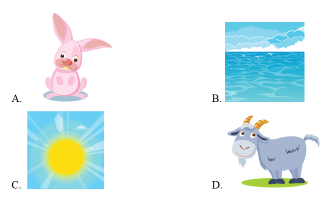 Trắc nghiệm Tiếng Anh lớp 2 Smart Start Unit 4 (có đáp án): Animals