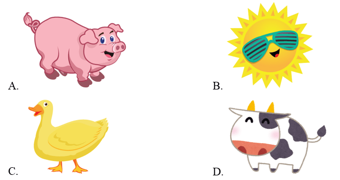 Trắc nghiệm Tiếng Anh lớp 2 Smart Start Unit 4 (có đáp án): Animals