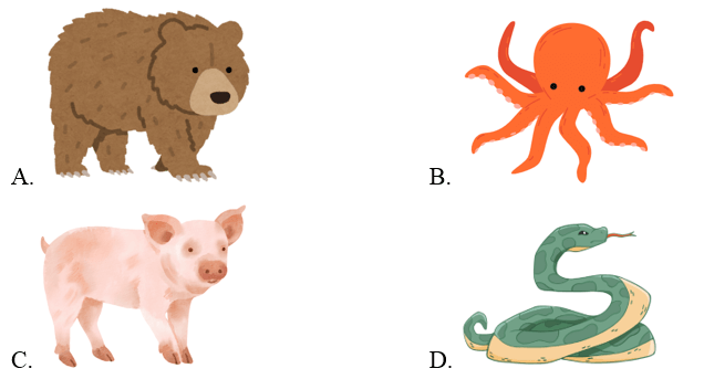 Trắc nghiệm Tiếng Anh lớp 2 Smart Start Unit 4 (có đáp án): Animals