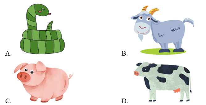 Trắc nghiệm Tiếng Anh lớp 2 Smart Start Unit 4 (có đáp án): Animals