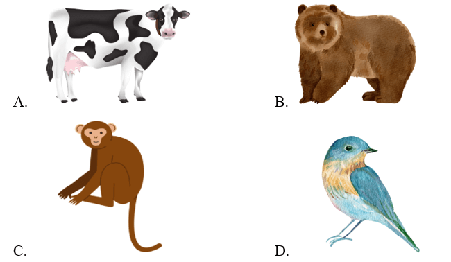 Trắc nghiệm Tiếng Anh lớp 2 Smart Start Unit 4 (có đáp án): Animals