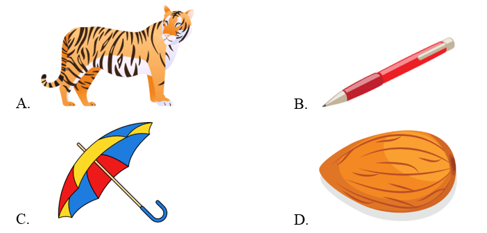 Trắc nghiệm Tiếng Anh lớp 2 Smart Start Unit 5 Phonetics and Vocabulary (có đáp án)
