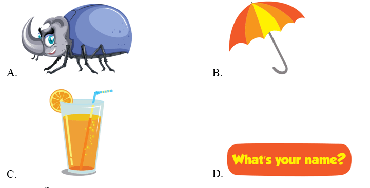 Trắc nghiệm Tiếng Anh lớp 2 Smart Start Unit 5 Phonetics and Vocabulary (có đáp án)