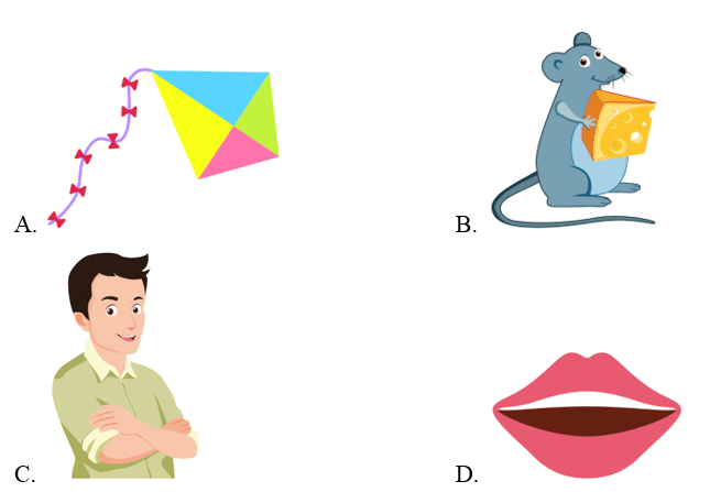 Trắc nghiệm Tiếng Anh lớp 2 Smart Start Unit 5 Phonetics and Vocabulary (có đáp án)