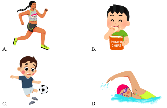 Trắc nghiệm Tiếng Anh lớp 2 Smart Start Unit 5 Phonetics and Vocabulary (có đáp án)