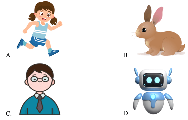 Trắc nghiệm Tiếng Anh lớp 2 Smart Start Unit 6 Phonetics and Vocabulary (có đáp án)