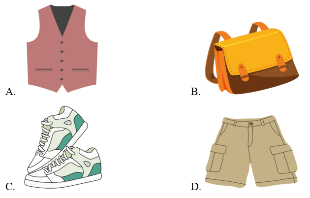 Trắc nghiệm Tiếng Anh lớp 2 Smart Start Unit 7 (có đáp án): Clothes