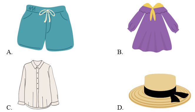Trắc nghiệm Tiếng Anh lớp 2 Smart Start Unit 7 (có đáp án): Clothes