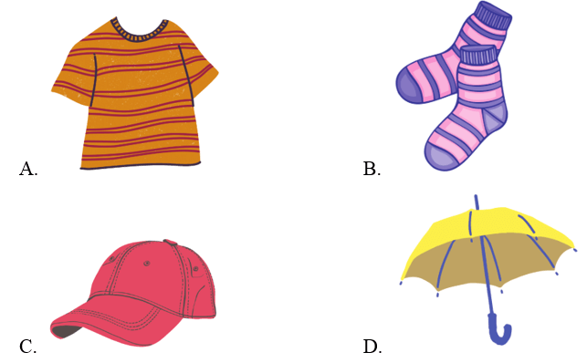 Trắc nghiệm Tiếng Anh lớp 2 Smart Start Unit 7 (có đáp án): Clothes