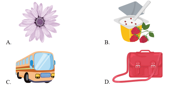 Trắc nghiệm Tiếng Anh lớp 2 Smart Start Unit 8 Phonetics and Vocabulary (có đáp án)