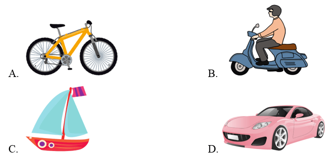 Trắc nghiệm Tiếng Anh lớp 2 Smart Start Unit 8 Phonetics and Vocabulary (có đáp án)