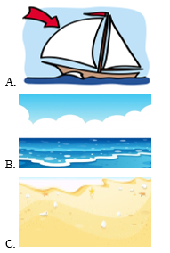 Trắc nghiệm Tiếng Anh lớp 2 Global Success Unit 3 (có đáp án): At the seaside