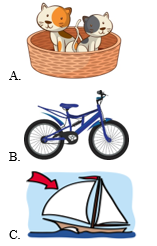 Trắc nghiệm Tiếng Anh lớp 2 Global Success Unit 3 (có đáp án): At the seaside