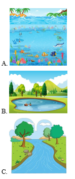 Trắc nghiệm Tiếng Anh lớp 2 Global Success Unit 4 (có đáp án): In the countryside