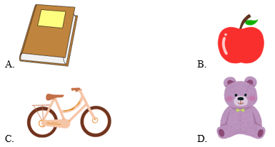 Trắc nghiệm Tiếng Anh lớp 3 Family and Friends Unit 1 Phonetics and Vocabulary (có đáp án)