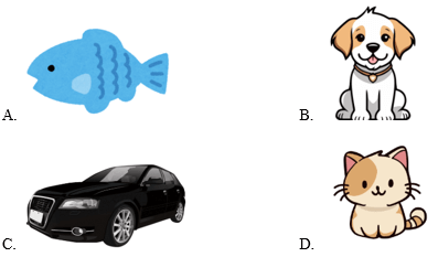 Trắc nghiệm Tiếng Anh lớp 3 Family and Friends Unit 1 Phonetics and Vocabulary (có đáp án)