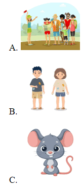 Trắc nghiệm Tiếng Anh lớp 3 Family and Friends Unit 12 Phonetics and Vocabulary (có đáp án)