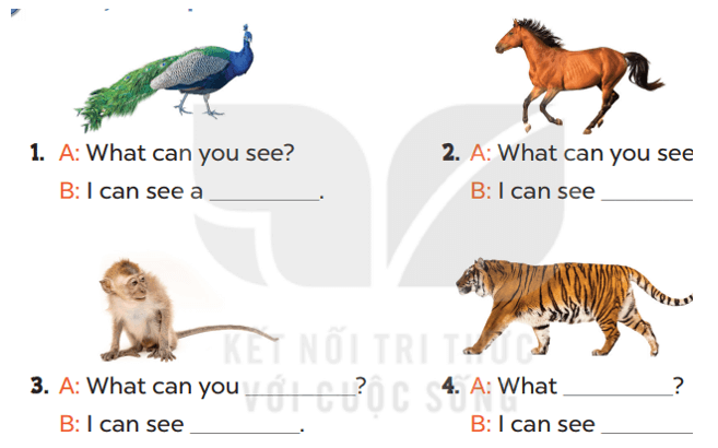 Tiếng Anh lớp 3 Unit 20 Lesson 1 trang 64, 65 | Global Success 3 Kết nối tri thức