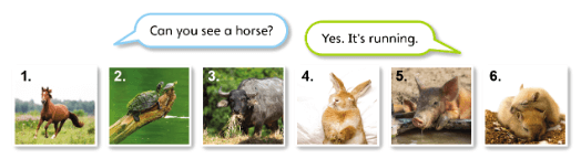 Tiếng Anh lớp 4 Explore Our World Unit 5 Lesson 5 (trang 84)