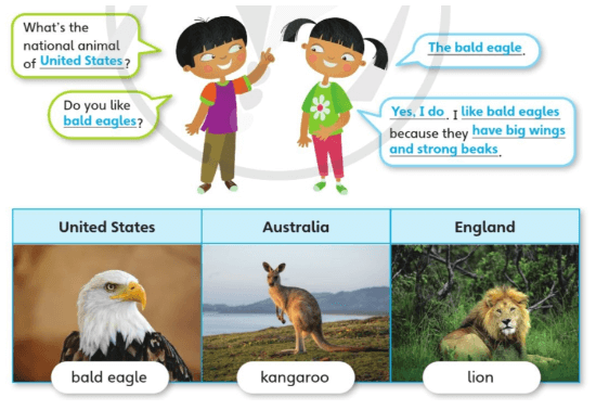Tiếng Anh lớp 4 Unit 7 Lesson 8 (trang 119) | Explore Our World 4 (Cánh diều)